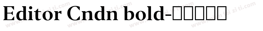 Editor Cndn bold字体转换
